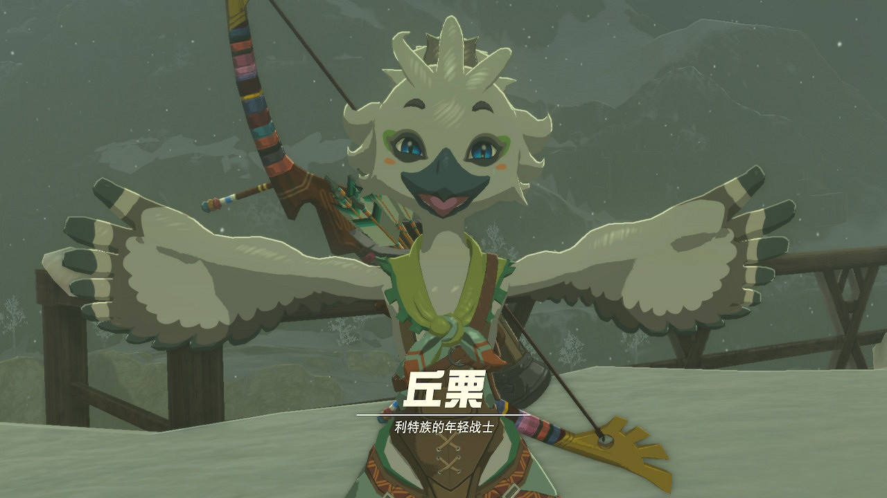 《塞爾達傳說王國之淚》物品怎麽投擲?冷知識分享 《塞爾達傳說王國之淚》物品怎麽投擲?冷知識分享