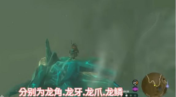 《塞爾達傳說王國之淚》龍爪怎麽獲得?龍爪龍角龍牙龍鱗獲取攻略 《塞爾達傳說王國之淚》龍爪怎麽獲得?龍爪龍角龍牙龍鱗獲取攻略