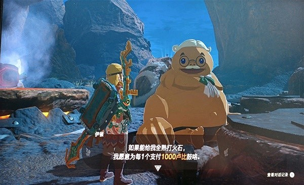 《塞爾達傳說王國之淚》鼓大湖高效刷錢位置分享  刷錢地圖在哪？