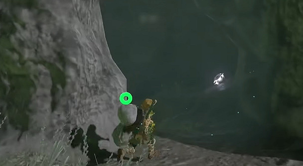 《塞爾達傳說王國之淚》撒哈斯拉平原鳥望台怎麽開啟？撒哈斯拉平原鳥望台開啟攻略