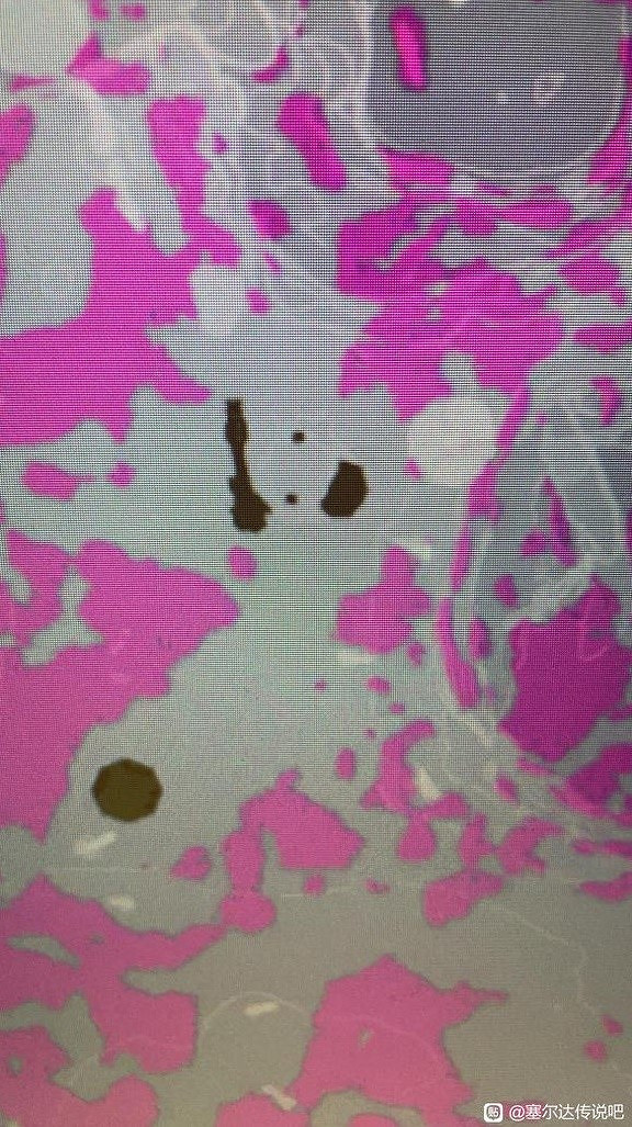 《塞爾達傳說王國之淚》盾牌附魔效果一覽     盾牌怎麽附魔？