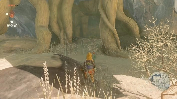 《塞爾達傳說王國之淚》炸彈花高效收集方法 炸彈花怎麽獲得? 《塞爾達傳說王國之淚》炸彈花高效收集方法 炸彈花怎麽獲得?