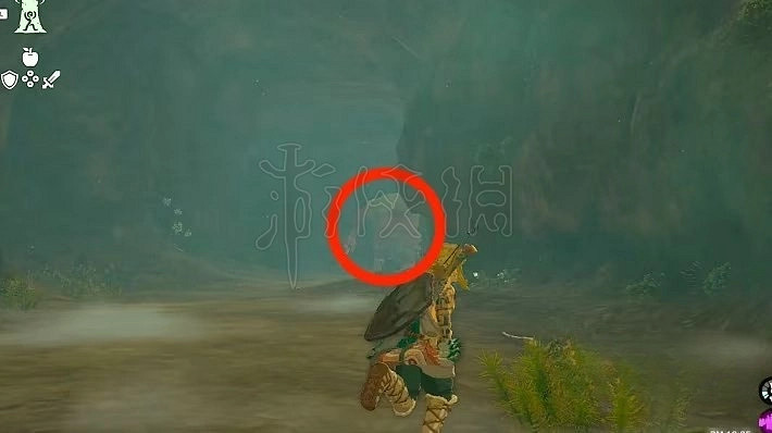 《塞爾達傳說王國之淚》炸彈花高效收集方法 炸彈花怎麽獲得? 《塞爾達傳說王國之淚》炸彈花高效收集方法 炸彈花怎麽獲得?