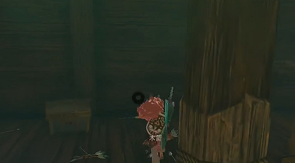 《塞爾達傳說王國之淚》汀空的褲子怎麽獲得？汀空的褲子獲取方法