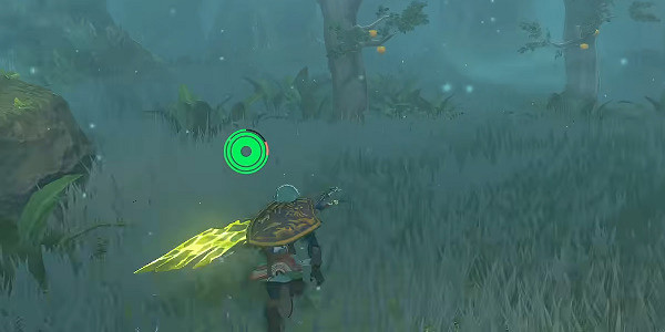 《塞爾達傳說王國之淚》普普恩凱神廟怎麽進？普普恩凱神廟攻略