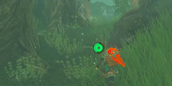 《塞爾達傳說王國之淚》世克恩波馬拉神廟怎麽進?世克恩波馬拉神廟攻略 《塞爾達傳說王國之淚》世克恩波馬拉神廟怎麽進?世克恩波馬拉神廟攻略