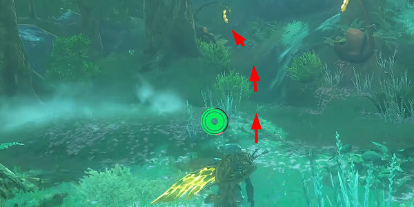 《塞爾達傳說王國之淚》普普恩凱神廟怎麽進？普普恩凱神廟攻略