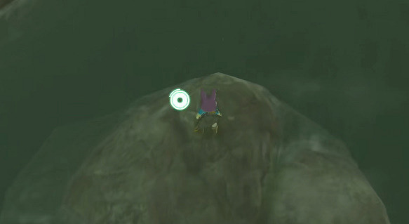 《塞爾達傳說王國之淚》藍色大蝦襯衫怎麽獲取?藍色大蝦襯衫獲取方法介紹 《塞爾達傳說王國之淚》藍色大蝦襯衫怎麽獲取?藍色大蝦襯衫獲取方法介紹