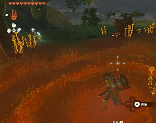 《塞爾達傳說王國之淚》暖暖草果在哪採摘?海拉魯草與暖暖草果位置 《塞爾達傳說王國之淚》暖暖草果在哪採摘?海拉魯草與暖暖草果位置