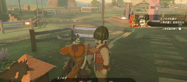 《塞爾達傳說王國之淚》私人住宅購買方法 怎麽購買房子? 《塞爾達傳說王國之淚》私人住宅購買方法 怎麽購買房子?