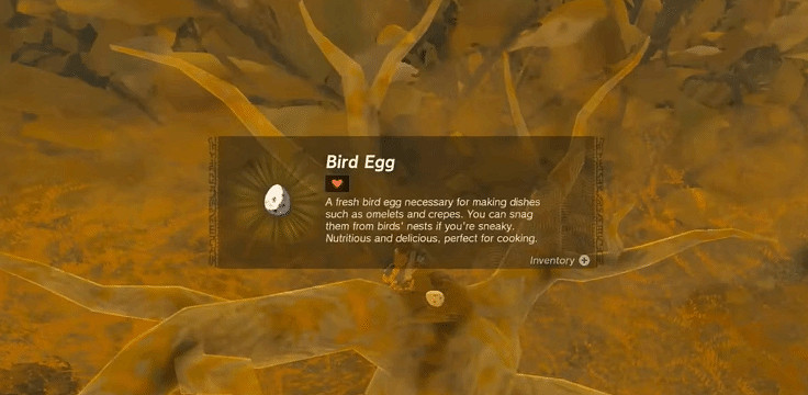 《塞爾達傳說王國之淚》哪些材料不建議買？不建議購買物品一覽