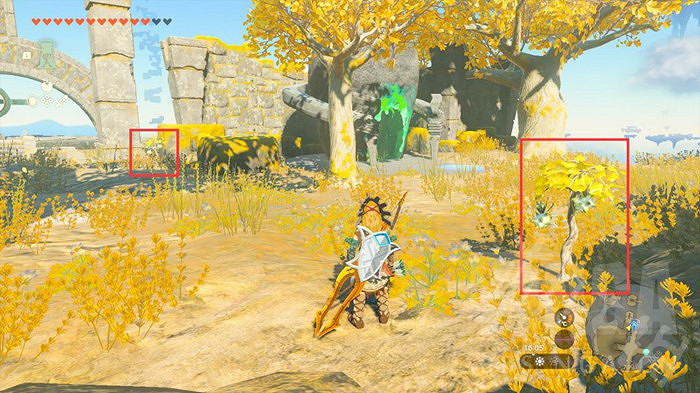 《塞爾達傳說王國之淚》閃耀果哪裡多？ 閃耀果速刷位置