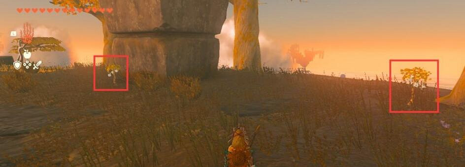 《塞爾達傳說王國之淚》閃耀果在哪裡刷?刷閃耀果位置推薦 《塞爾達傳說王國之淚》閃耀果在哪裡刷?刷閃耀果位置推薦