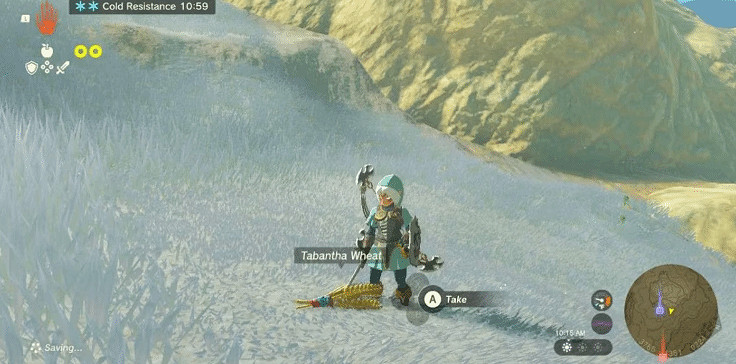 《塞爾達傳說王國之淚》哪些材料不建議買？不建議購買物品一覽