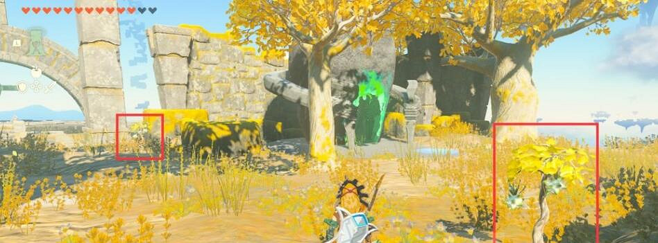 《塞爾達傳說王國之淚》閃耀果在哪裡刷?刷閃耀果位置推薦 《塞爾達傳說王國之淚》閃耀果在哪裡刷?刷閃耀果位置推薦