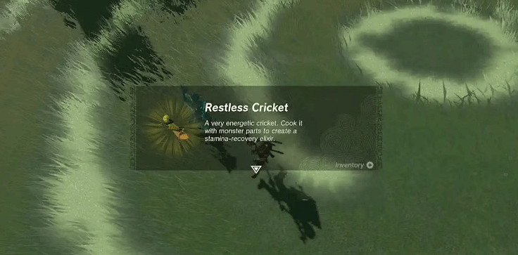 《塞爾達傳說王國之淚》哪些材料不建議買？不建議購買物品一覽