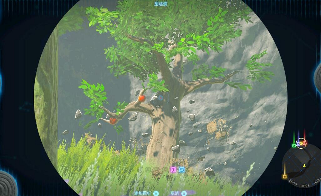 《塞爾達傳說王國之淚》樹精怎麽打？樹精打法及掉落素材介紹