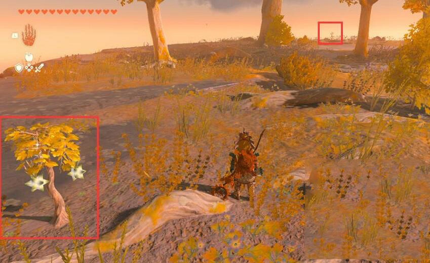 《塞爾達傳說王國之淚》閃耀果在哪裡刷?刷閃耀果位置推薦 《塞爾達傳說王國之淚》閃耀果在哪裡刷?刷閃耀果位置推薦