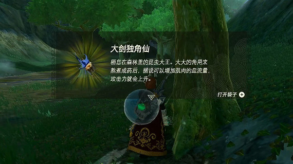 《塞爾達傳說王國之淚》獨角仙在哪裡抓?獨角仙刷新位置坐標 《塞爾達傳說王國之淚》獨角仙在哪裡抓?獨角仙刷新位置坐標