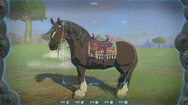 《塞爾達傳說王國之淚》特殊馬匹一覽 有哪些特殊馬匹? 《塞爾達傳說王國之淚》特殊馬匹一覽 有哪些特殊馬匹?