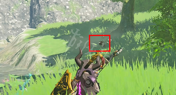 《塞爾達傳說王國之淚》講究的男人多當茨任務攻略 講究的男人多當茨任務怎麽做? 《塞爾達傳說王國之淚》講究的男人多當茨任務攻略 講究的男人多當茨任務怎麽做?