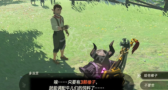 《塞爾達傳說王國之淚》講究的男人多當茨任務攻略 講究的男人多當茨任務怎麽做? 《塞爾達傳說王國之淚》講究的男人多當茨任務攻略 講究的男人多當茨任務怎麽做?