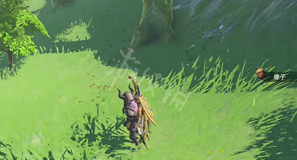 《塞爾達傳說王國之淚》講究的男人多當茨任務攻略 講究的男人多當茨任務怎麽做? 《塞爾達傳說王國之淚》講究的男人多當茨任務攻略 講究的男人多當茨任務怎麽做?