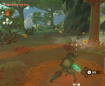 《塞爾達傳說王國之淚》精力蘑菇怎麽獲得？精力蘑菇位置介紹