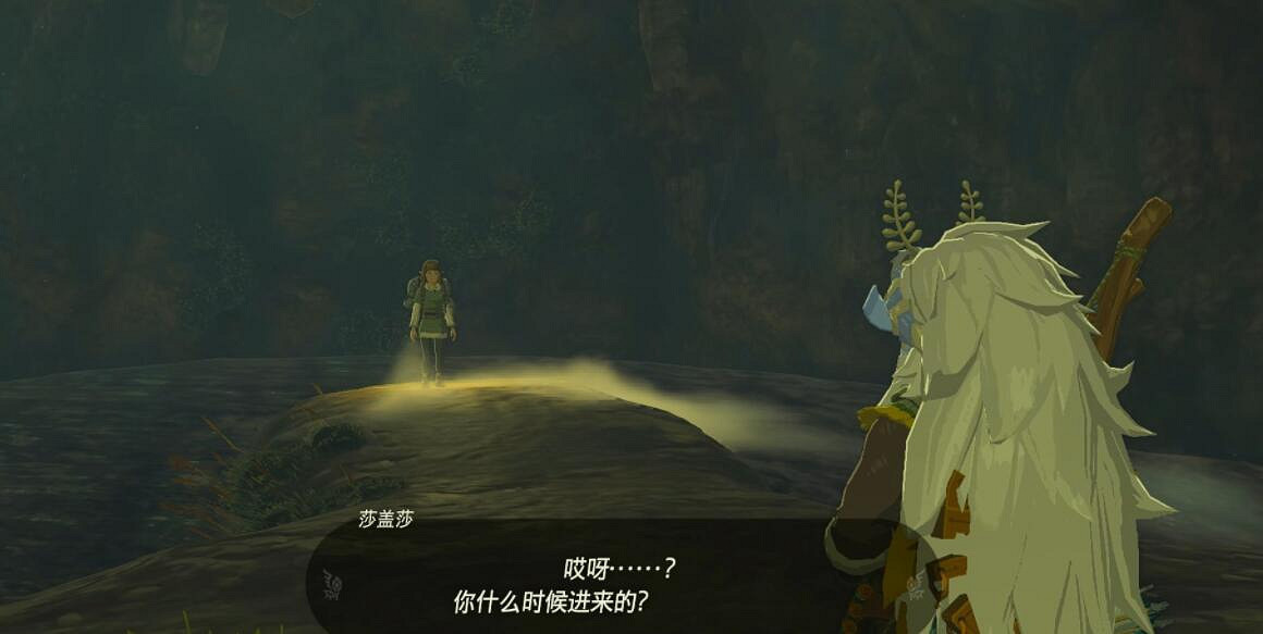 《塞爾達傳說王國之淚》白詰報社任務攻略大全 白詰報社系列任務怎麽做？