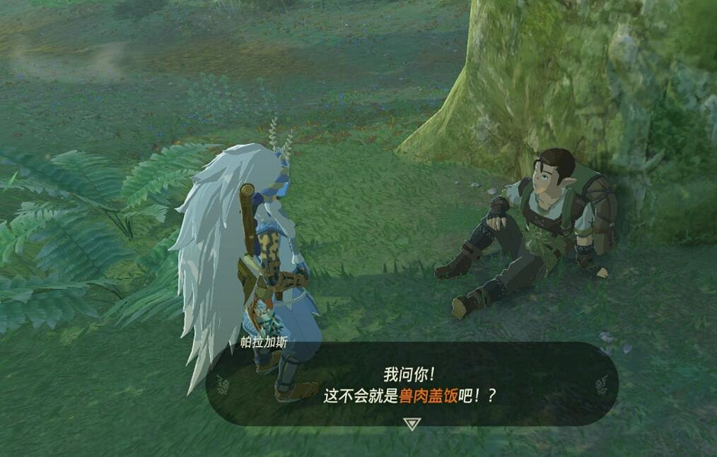 《塞爾達傳說王國之淚》白詰報社任務攻略大全 白詰報社系列任務怎麽做？