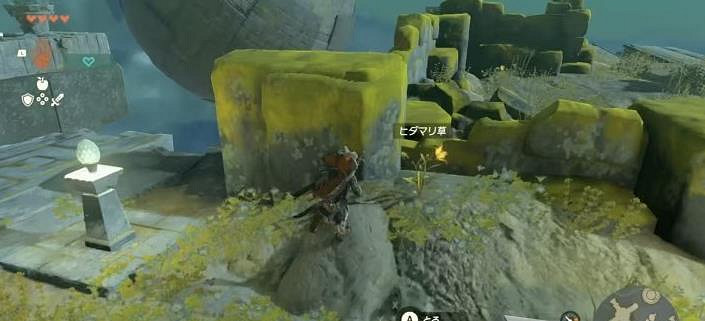 《塞爾達傳說王國之淚》怎麽買房子？林克的家購買攻略