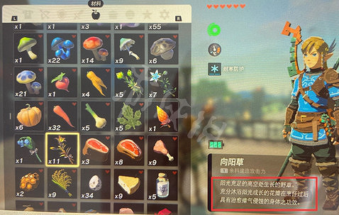 《塞爾達傳說王國之淚》瘴氣傷害恢複方法 瘴氣傷害怎麽恢複？