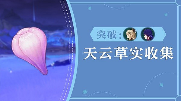 《原神》3.7版天雲草實採集路線分享  天雲草怎麽採集？