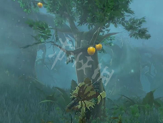 《塞爾達傳說王國之淚》普普恩凱神廟怎麽過？ 普普恩凱神廟解謎攻略