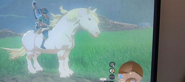 《塞爾達傳說王國之淚》王族白馬位置一覽    王族白馬在哪？