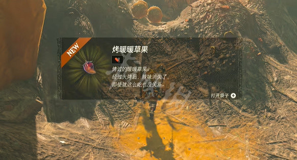 《塞爾達傳說王國之淚》風滾草大掃除怎麽做？ 風滾草大掃除任務攻略