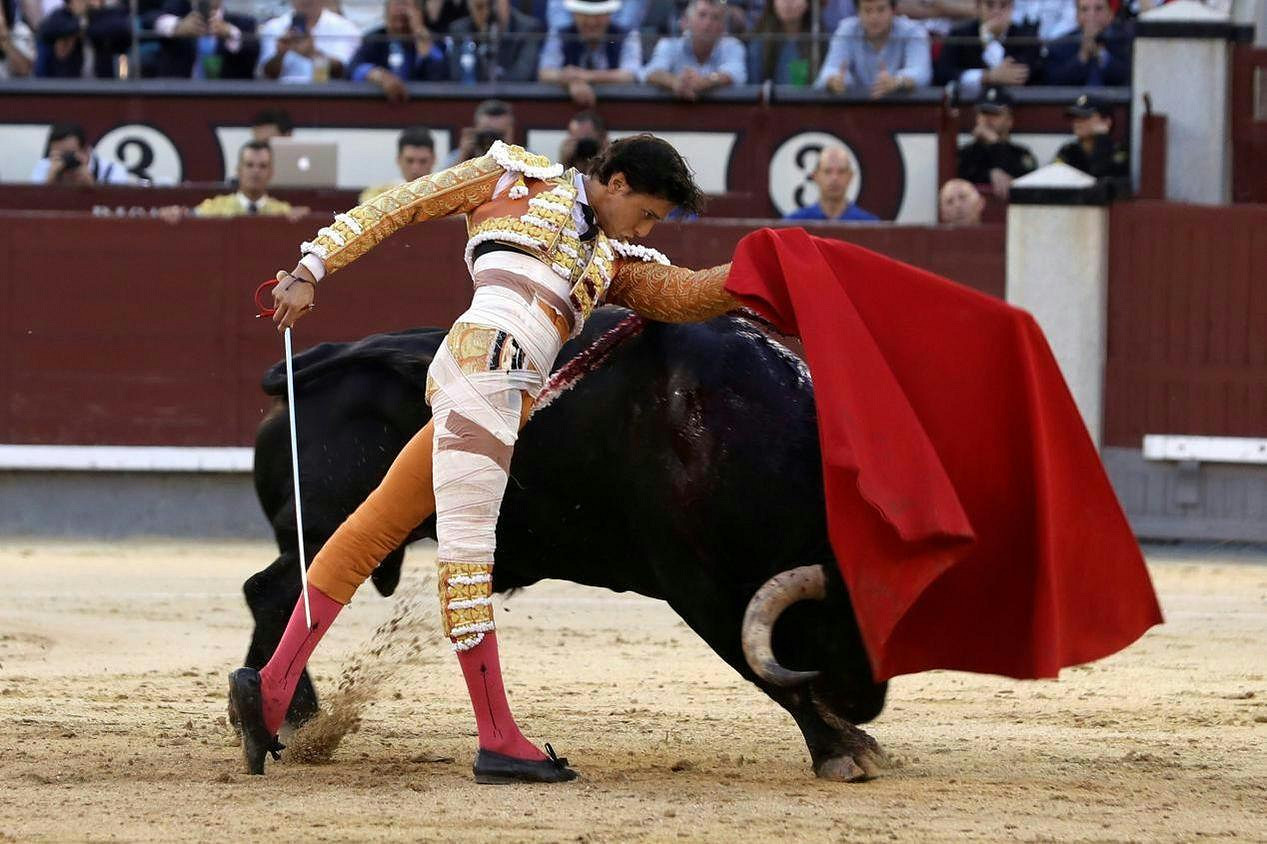 是胖絨球還是食鐵獸?熊貓在遊戲領域如何大施拳腳 是胖絨球還是食鐵獸?熊貓在遊戲領域如何大施拳腳