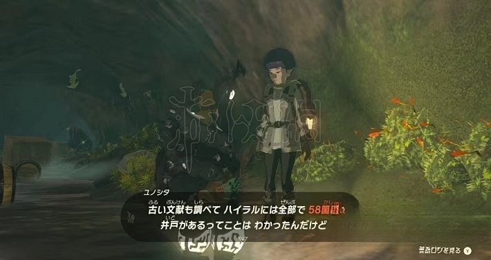 《塞爾達傳說王國之淚》全水井位置一覽     水井在哪?