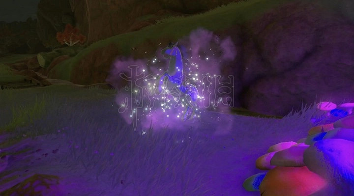 《塞爾達傳說王國之淚》馬瀧位置及馬匹升級料理一覽   馬匹之神在哪?