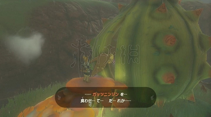 《塞爾達傳說王國之淚》馬瀧位置及馬匹升級料理一覽   馬匹之神在哪?