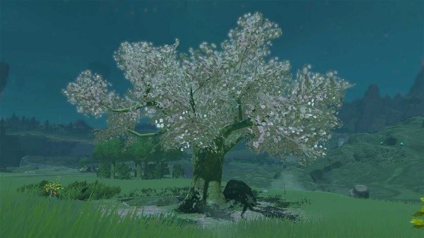 《塞爾達傳說王國之淚》平原外圍驛站拍照攻略  平原外圍驛站怎麽拍照？