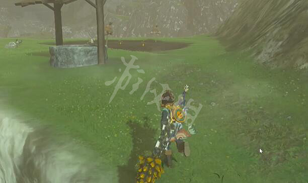 《塞爾達傳說王國之淚》拍攝丘丘樣本怎麽做？ 拍攝丘丘樣本攻略