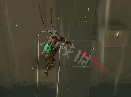 《塞爾達傳說王國之淚》嘎塔奇薩神廟攻略 嘎塔奇薩神廟怎麽過？