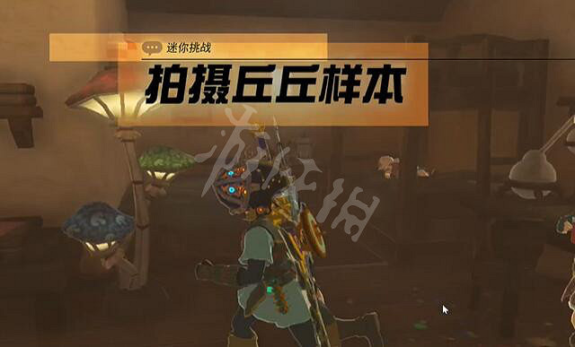 《塞爾達傳說王國之淚》拍攝丘丘樣本怎麽做？ 拍攝丘丘樣本攻略