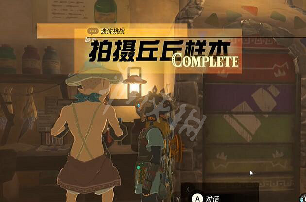 《塞爾達傳說王國之淚》拍攝丘丘樣本怎麽做？ 拍攝丘丘樣本攻略