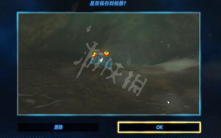 《塞爾達傳說王國之淚》拍攝丘丘樣本怎麽做？ 拍攝丘丘樣本攻略