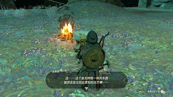 《塞爾達傳說王國之淚》給地底人拍照怎麽做？ 給地底人拍照任務攻略