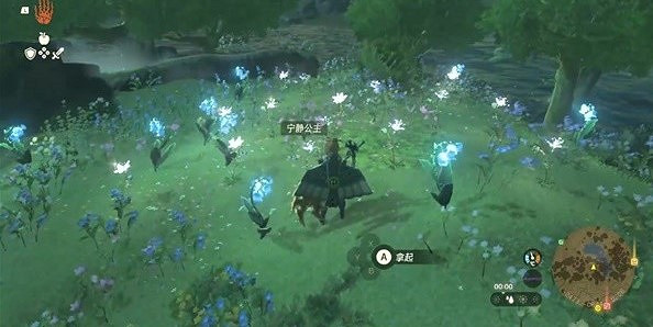 《塞爾達傳說王國之淚》寧靜公主採集地點分享   寧靜公主在哪採集？