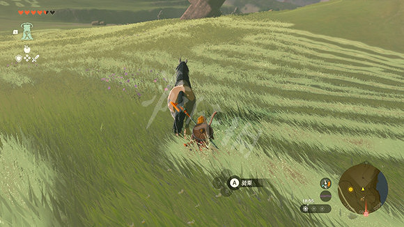 《塞爾達傳說王國之淚》怎麽馴馬？ 馴馬方法