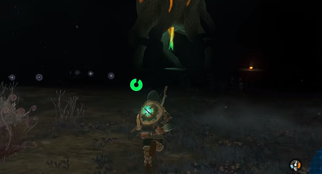 《塞爾達傳說王國之淚》技能大全